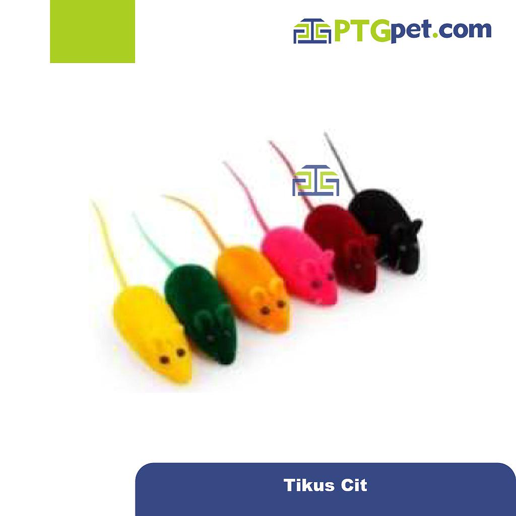 Tikus Cit