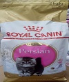 FBN Kitten Persian 32 2kg