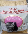 FBN Kitten Persian 32 4kg