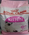FBN Kitten 36 4kg