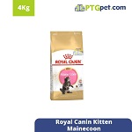 FBN Kitten Mainecoon 4 kg