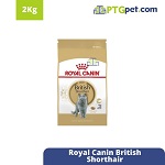 FBN British Shorthair2Kg