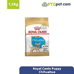 BHN Chihuahua Jr. 1.5kg