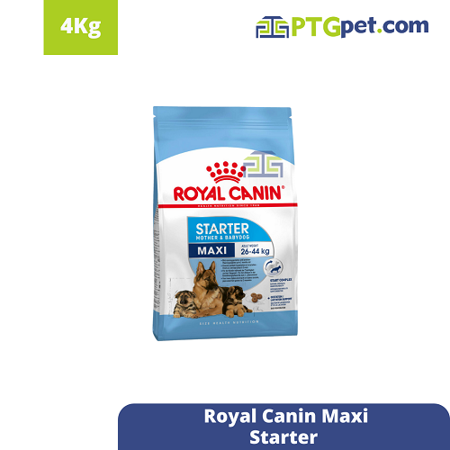 SHN Maxi Starter 4 Kg