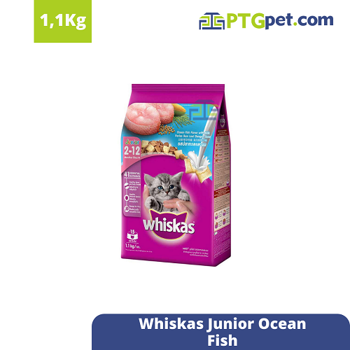 WHS Poc Junior 1.1kg (O Fish)